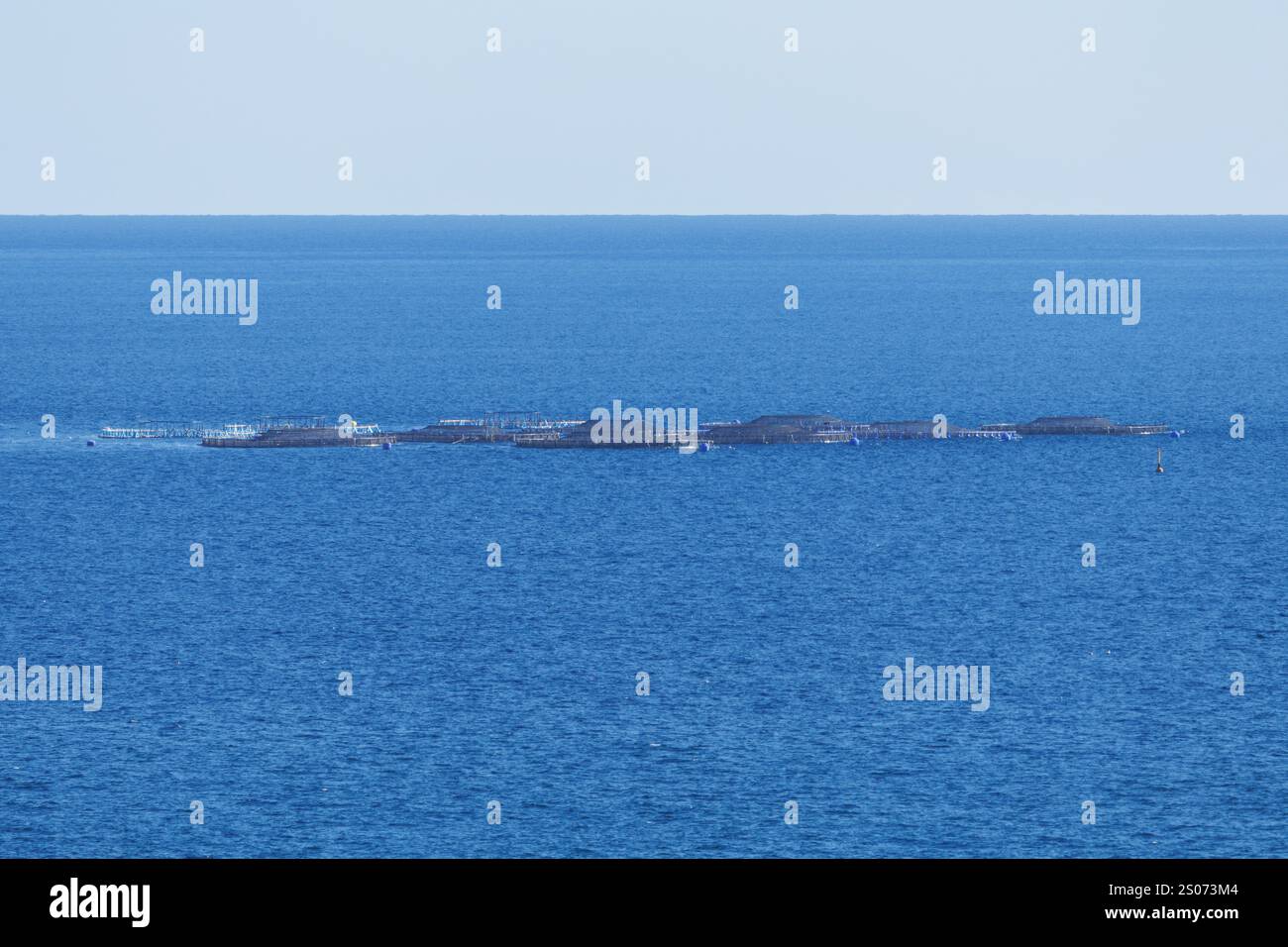 Allevamento ittico al largo delle coste del Mar Mediterraneo nella provincia di Alicante, Spagna Foto Stock