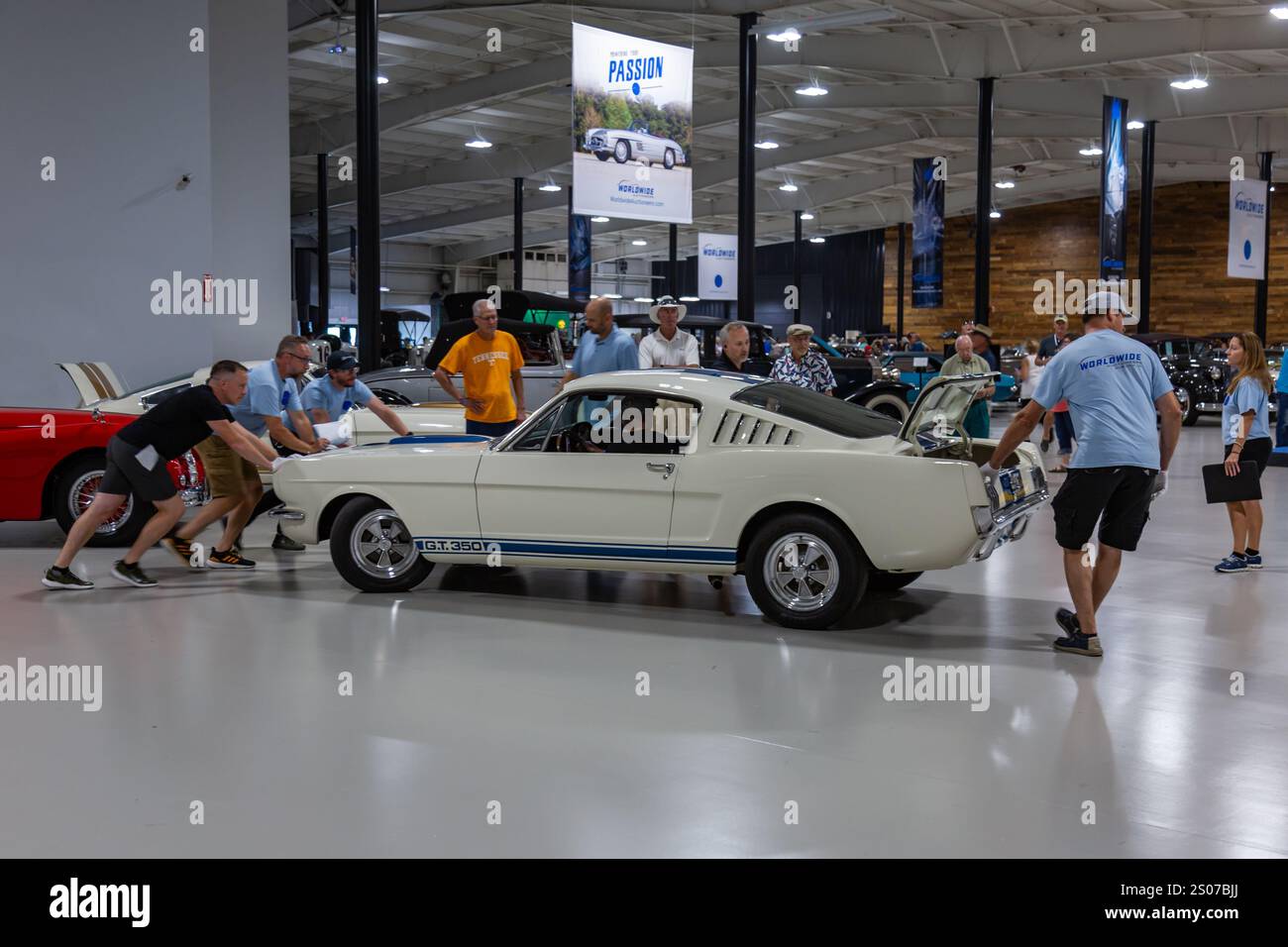 I dipendenti di Worldwide Auctioneers spingono un'auto d'epoca bianca Ford Mustang Shelby GT 350 del 1965 al Auburn Auction di Auburn, Indiana, USA. Foto Stock