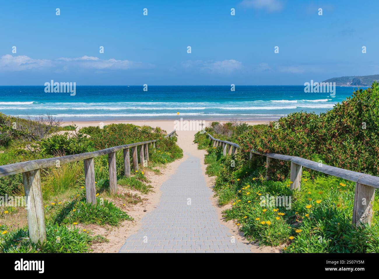 Viste panoramiche sulla spiaggia di Freshwater si trova nei sobborghi settentrionali di Sydney e fa parte della regione delle spiagge settentrionali Foto Stock