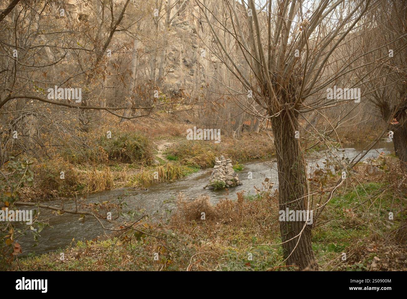 Pietra di Cairn nella valle del torrente nella foresta senza fronzoli Foto Stock