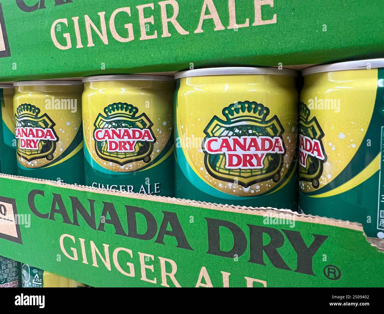 Canada Dry Ginger Ale in piccole lattine in uno scaffale del supermercato Foto Stock