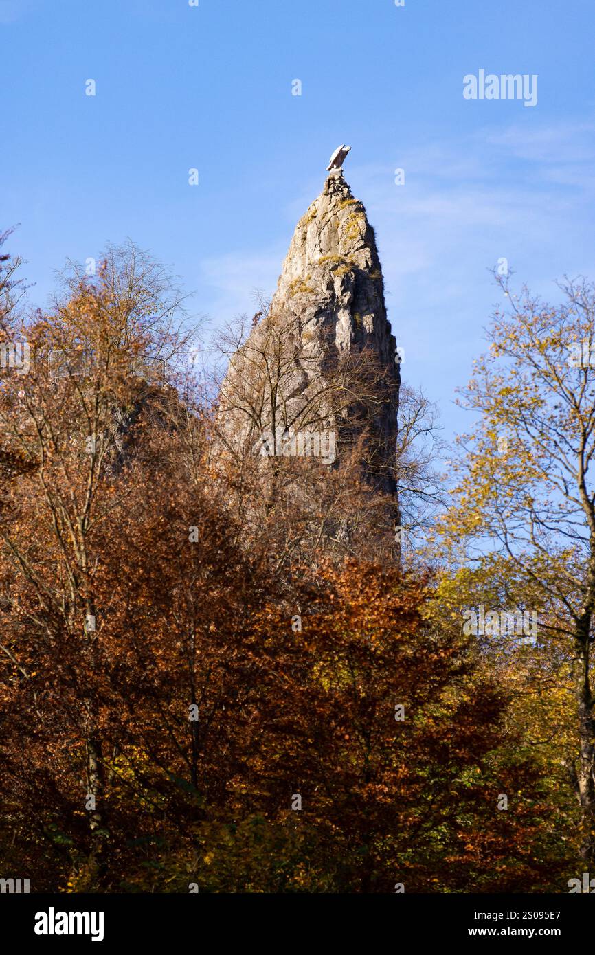 WeltWald Harz Der herbstliche Hübichenstein im Harz bei Bad Grund, fotografiert AM 27. Ottobre 2024. Bad Grund Niedersachsen Deutschland Hübichenstein1296 *** WeltWald Harz The autumnal Hübichenstein in the Harz Mountains vicino Bad Grund, fotografato il 27 ottobre 2024 Bad Grund bassa Sassonia Germania Hübichenstein1296 Foto Stock