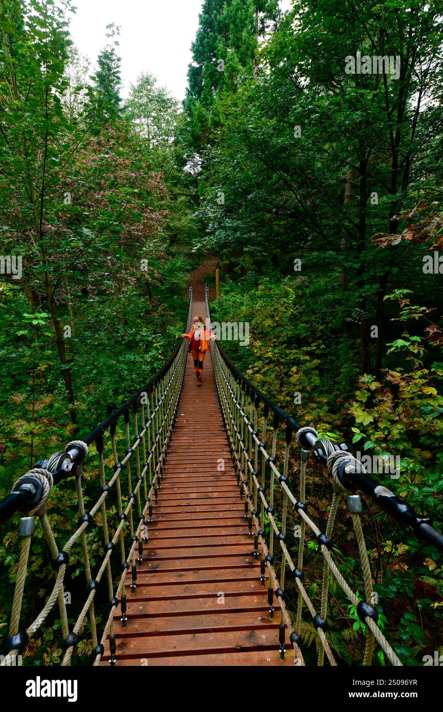 WeltWald Harz Der herbstliche WeltWald im Harz bei Bad Grund, fotografiert AM 8. Ottobre 2024. Bad Grund Niedersachsen Deutschland Weltwald1258 *** WeltWald Harz l'autunnale WeltWald nei monti Harz vicino a Bad Grund, fotografato l'8 ottobre 2024 Bad Grund bassa Sassonia Germania Weltwald1258 Foto Stock