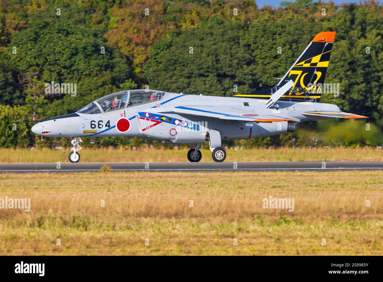 Giappone, alla Hamamatsu Air base 14 novembre 2024: Kawasaki T-4 dalla Hamamatsu Air base in Giappone Foto Stock