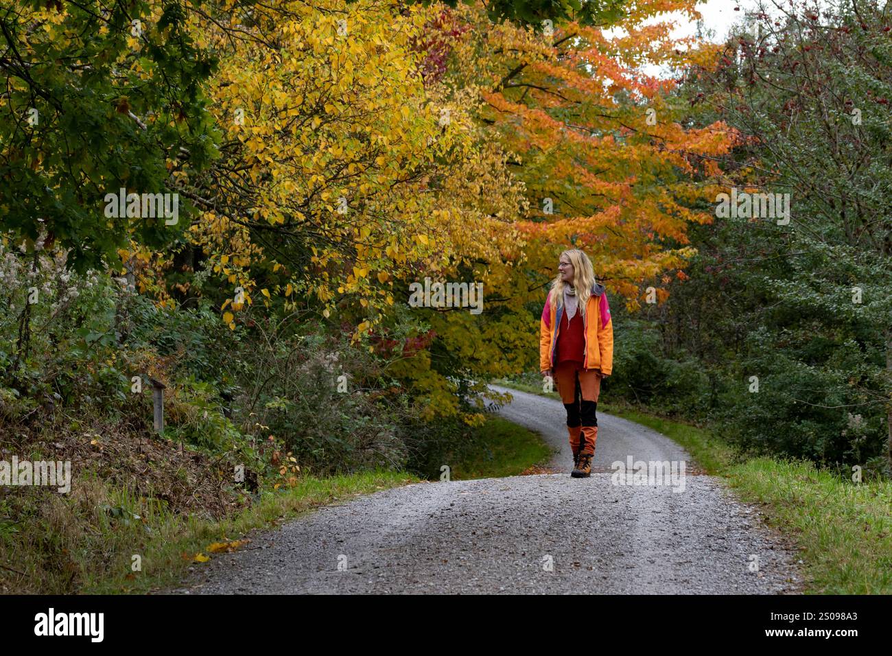 WeltWald Harz Der herbstliche WeltWald im Harz bei Bad Grund, fotografiert AM 8. Ottobre 2024. Bad Grund Niedersachsen Deutschland Weltwald1286 *** WeltWald Harz l'autunnale WeltWald nei monti Harz vicino a Bad Grund, fotografato l'8 ottobre 2024 Bad Grund bassa Sassonia Germania Weltwald1286 Foto Stock