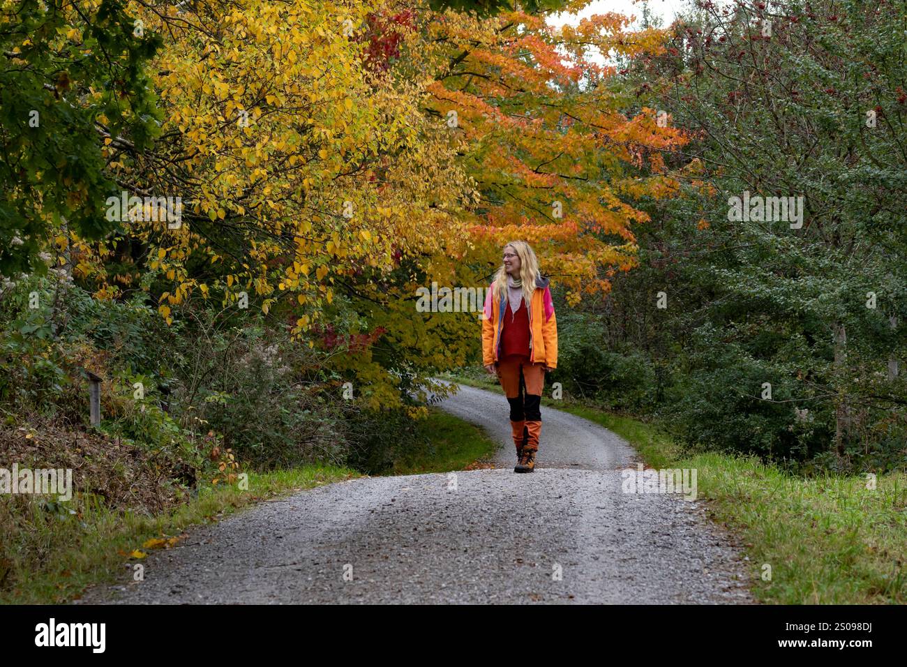 WeltWald Harz Der herbstliche WeltWald im Harz bei Bad Grund, fotografiert AM 8. Ottobre 2024. Bad Grund Niedersachsen Deutschland Weltwald1285 *** WeltWald Harz l'autunnale WeltWald nei monti Harz vicino a Bad Grund, fotografato l'8 ottobre 2024 Bad Grund bassa Sassonia Germania Weltwald1285 Foto Stock