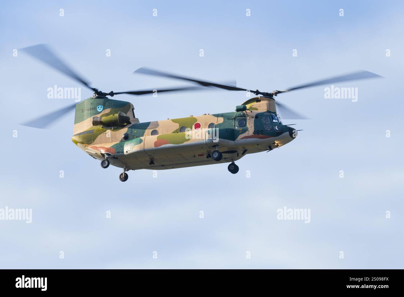 Giappone, presso Kanoya Air base 19 novembre 2024: Boeing CH-47JA Chinook presso Kanoya Air base in Giappone Foto Stock