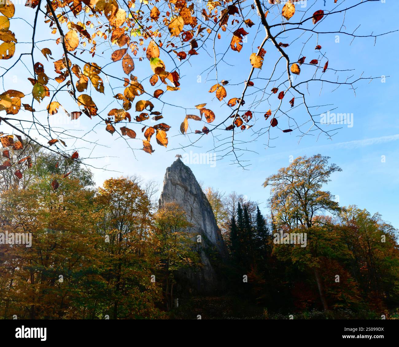 WeltWald Harz Der herbstliche Hübichenstein im Harz bei Bad Grund, fotografiert AM 27. Ottobre 2024. Bad Grund Niedersachsen Deutschland Hübichenstein1288 *** WeltWald Harz The autumnal Hübichenstein in the Harz Mountains vicino Bad Grund, fotografato il 27 ottobre 2024 Bad Grund bassa Sassonia Germania Hübichenstein1288 Foto Stock