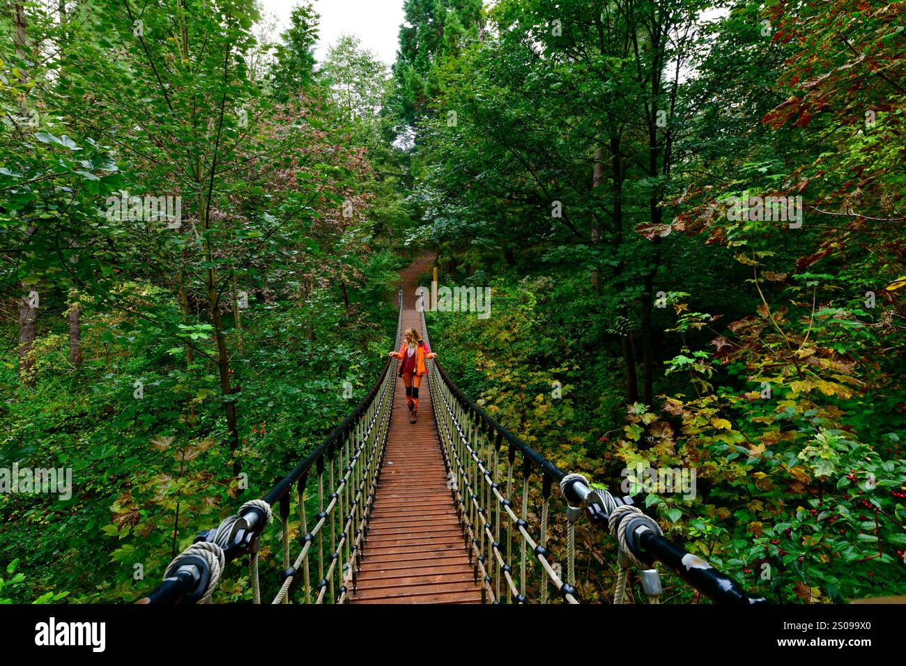 WeltWald Harz Der herbstliche WeltWald im Harz bei Bad Grund, fotografiert AM 8. Ottobre 2024. Bad Grund Niedersachsen Deutschland Weltwald1256 *** WeltWald Harz l'autunnale WeltWald nei monti Harz vicino a Bad Grund, fotografato l'8 ottobre 2024 Bad Grund bassa Sassonia Germania Weltwald1256 Foto Stock