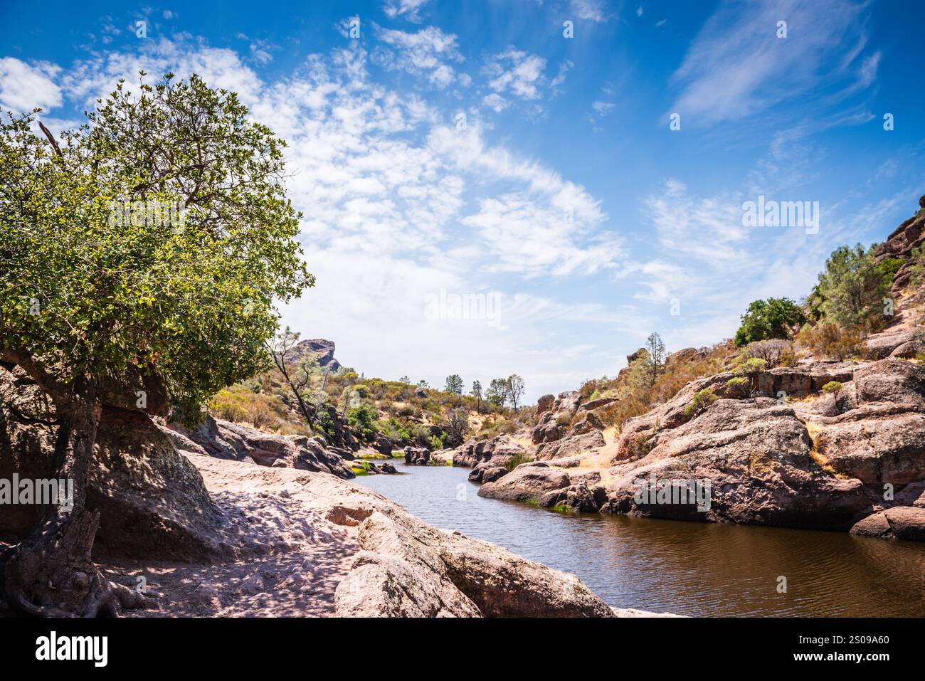 Situato nel Pinnacles National Park, il Bear Gulch Reservoir serve il Bear Gulch District del California Water Service a Woodside, CALIFORNIA. Foto Stock