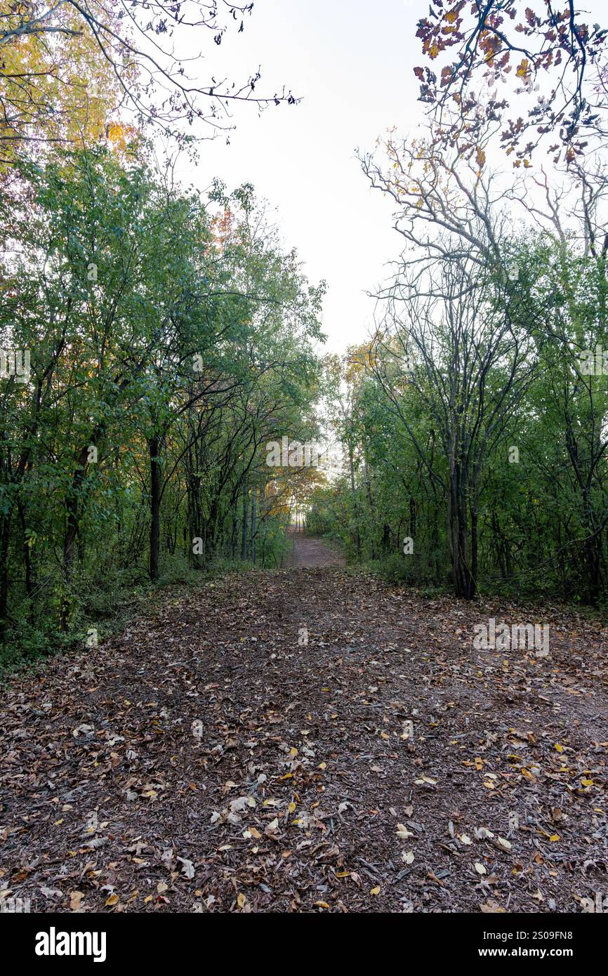 Un sentiero pubblico attraversa la foresta del Wisconsin per gli escursionisti in ottobre. Foto Stock