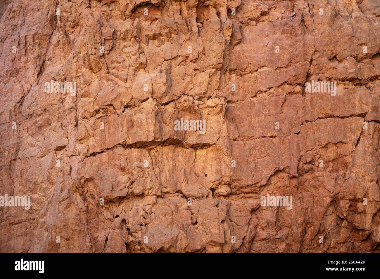 Frammento di un muro di arenaria del canyon rosso in Israele Foto Stock