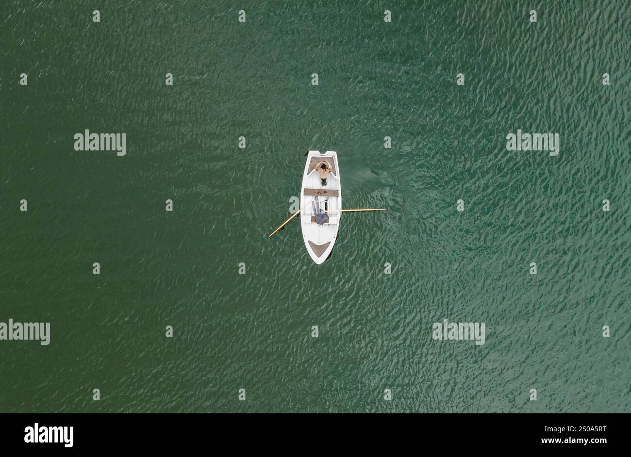 Una vista dall'alto mostra una piccola barca a remi sull'acqua verde. Una persona fila mentre l'altra siede, circondata da dolci increspature, enfatizzando l'isolamento. Foto Stock