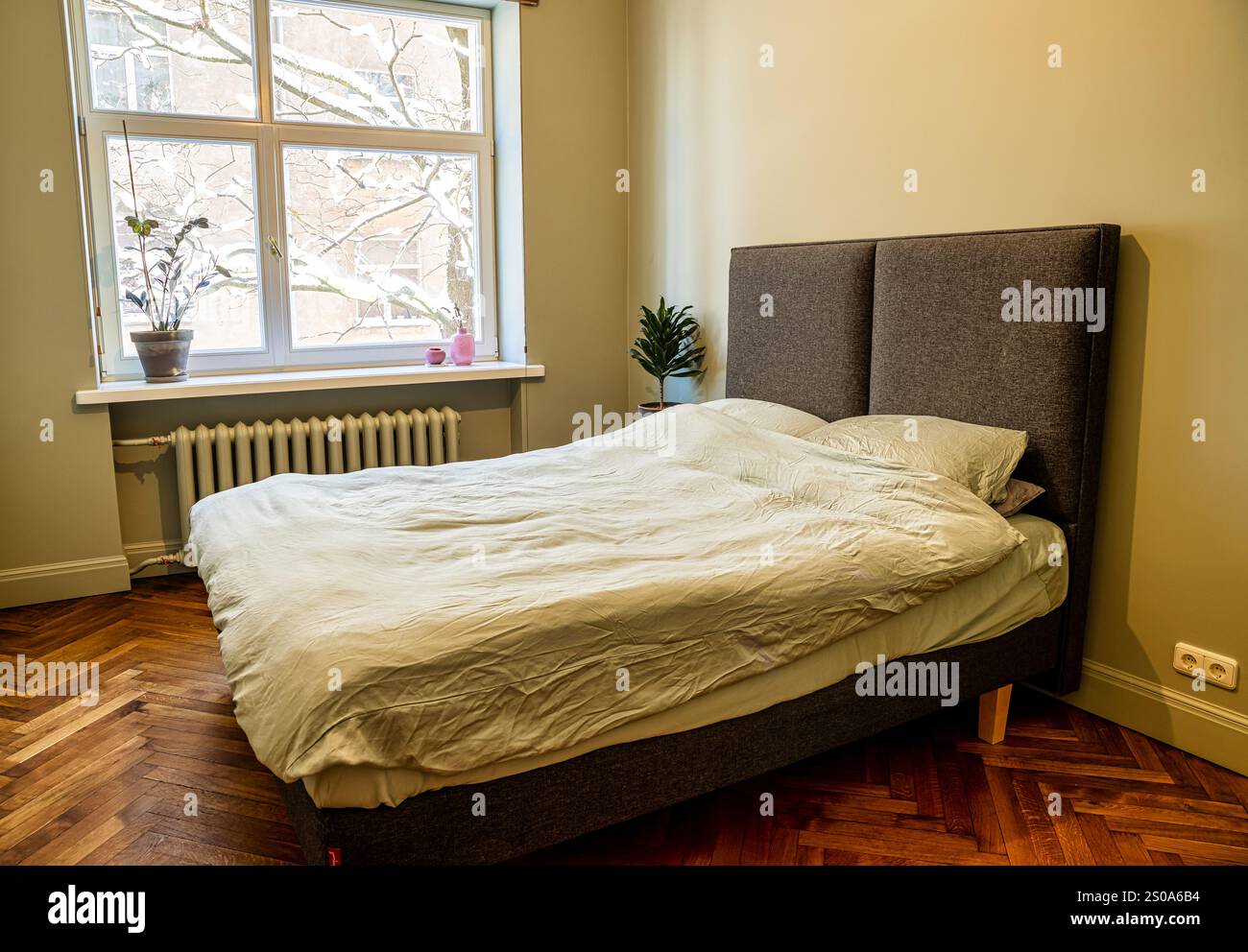 Una camera da letto presenta una grande finestra con una vista innevata, testata grigia, biancheria da letto leggera, una pianta in vaso e pavimento in parquet in legno in un clima freddo. Foto Stock