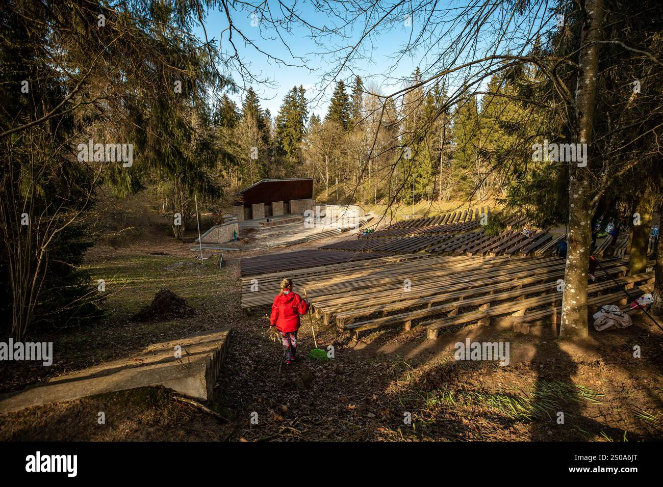Una persona con una giacca rossa cammina verso un piccolo palcoscenico in un anfiteatro all'aperto, circondato da alberi alti e panche di legno, con filtraggio della luce solare Foto Stock
