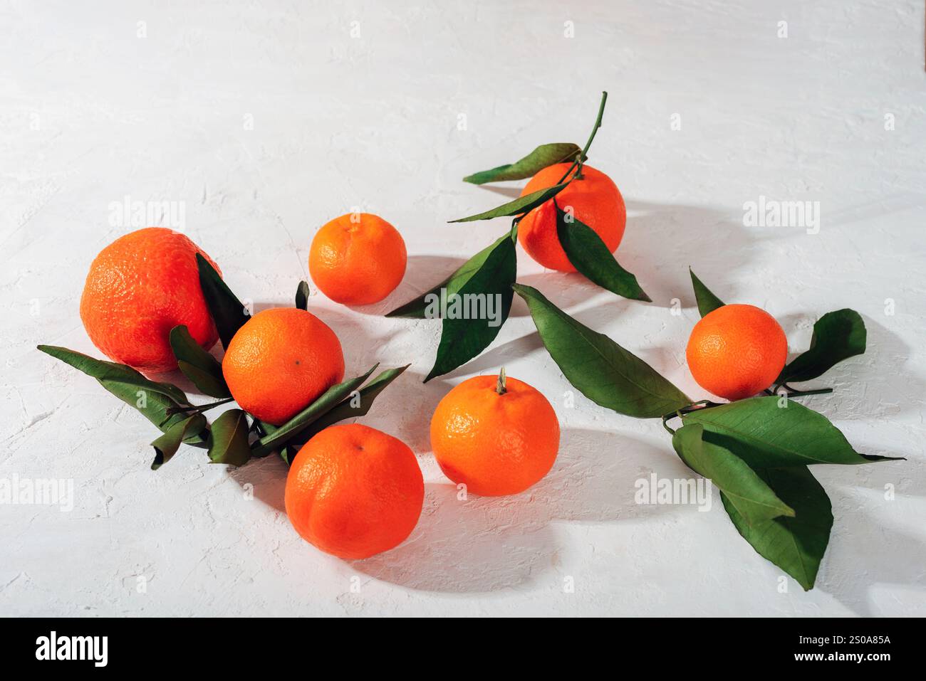 Mandarini freschi con foglie verdi su sfondo bianco testurizzato. Composizione vivace e minimalista con luce e ombre. Foto Stock
