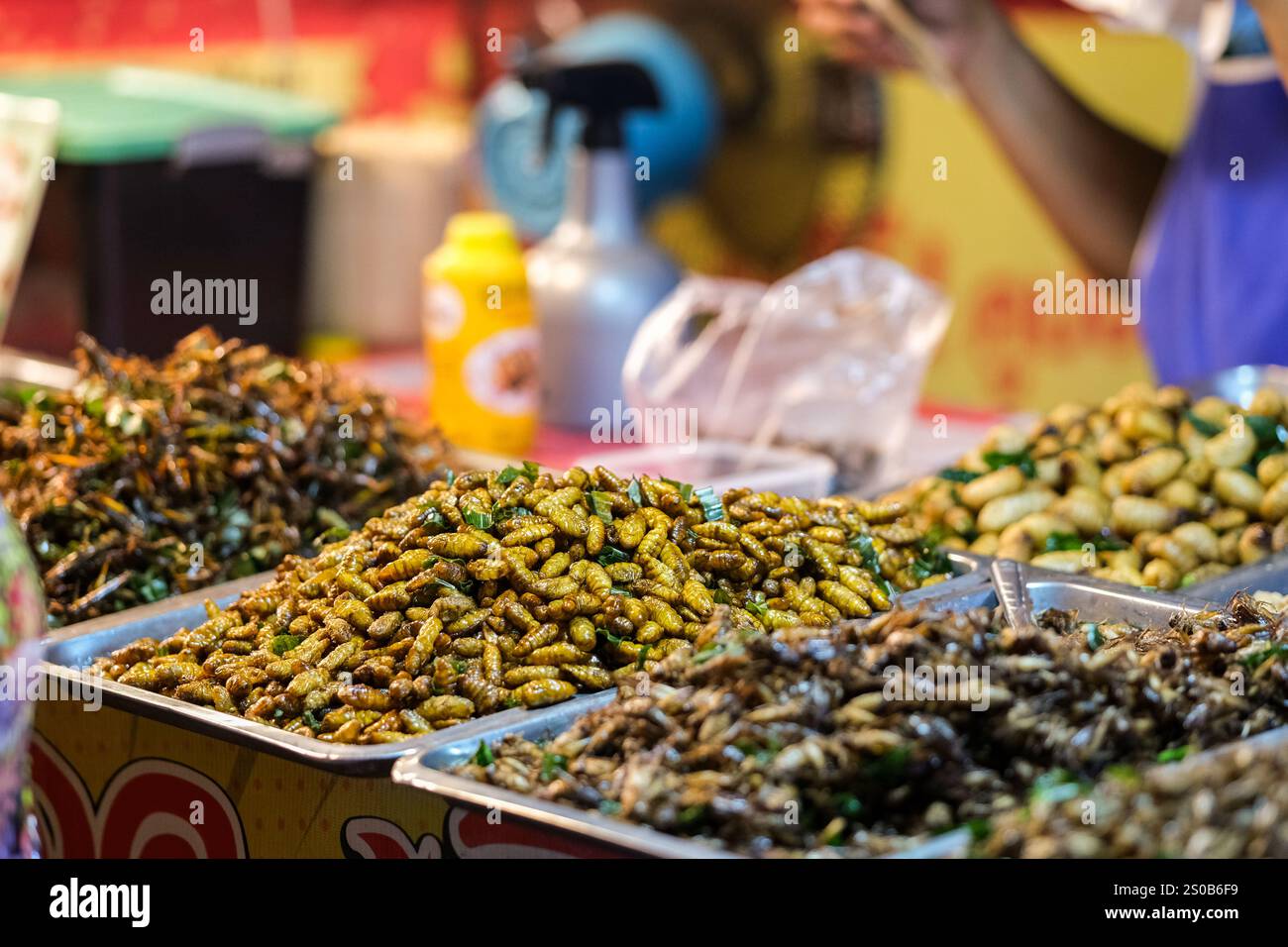 Vista ravvicinata di un tradizionale mercato di strada tailandese che mostra vassoi di insetti fritti, tra cui grilli e coleotteri. Foto Stock