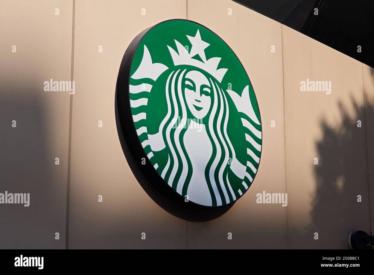 Uno Starbucks Cafe si trova a Pudong, Shanghai, Cina, 27 dicembre 2024. Foto Stock