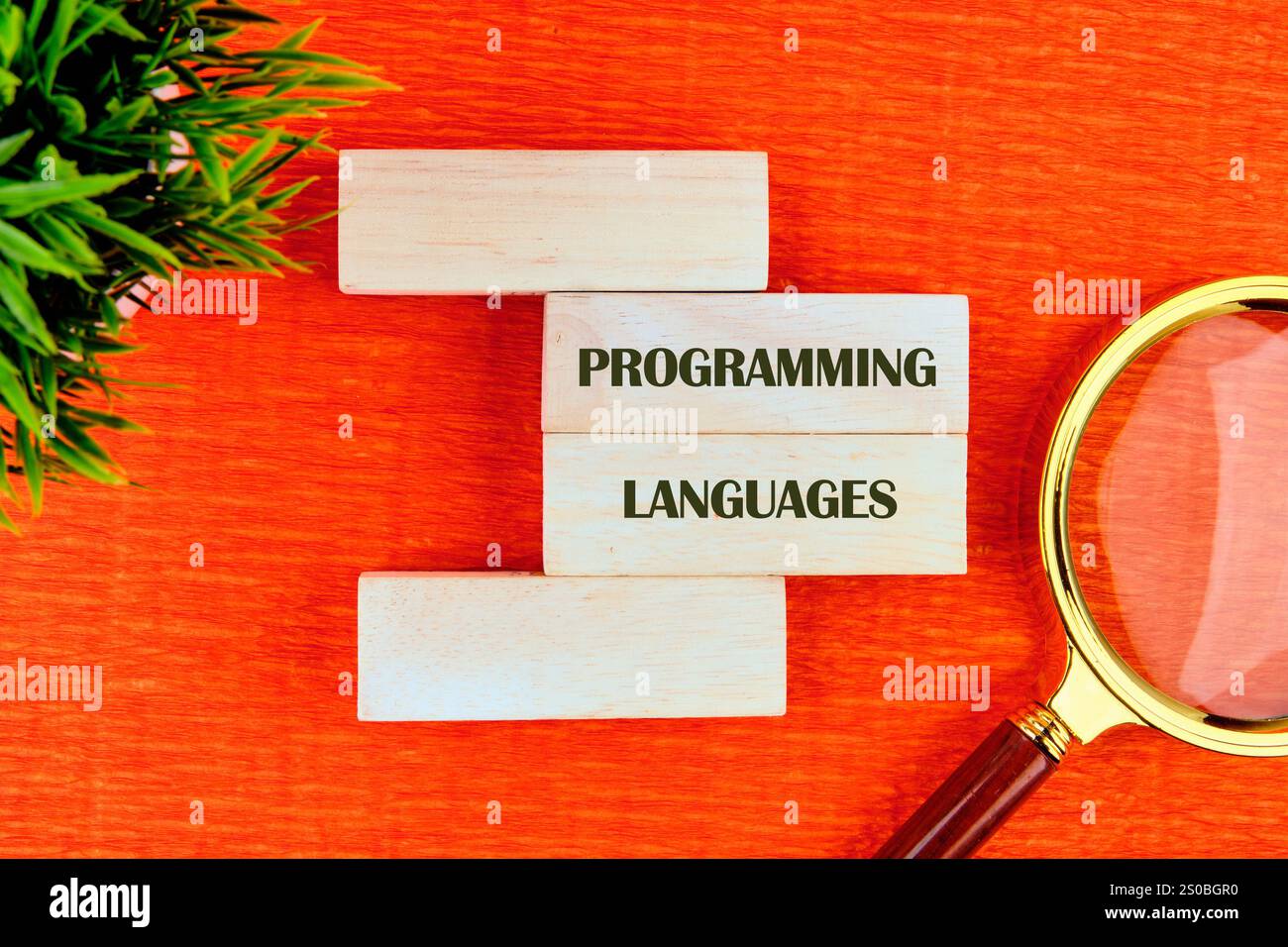 I blocchi di legno che mostrano i linguaggi di programmazione delle parole sono posizionati su una superficie arancione vibrante accanto a una lente d'ingrandimento e a una piccola pianta verde, su Foto Stock