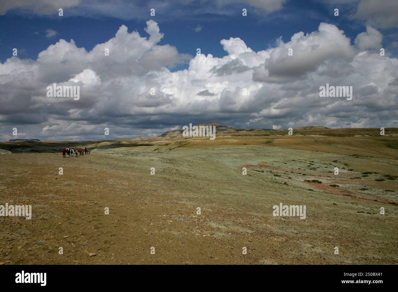 Imballaggio di capra nel Deserto Rosso, Wyoming Foto Stock
