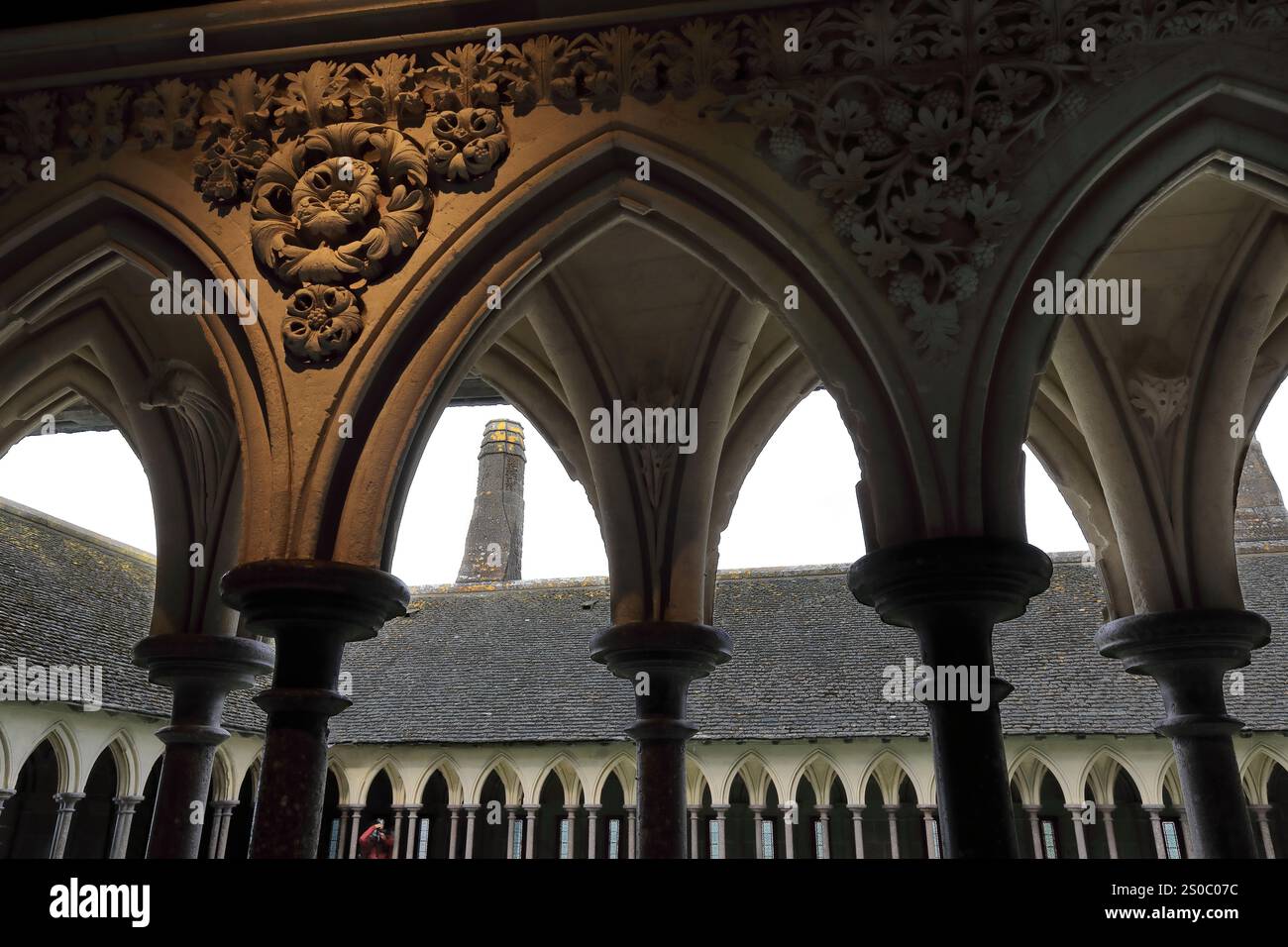 123 archi a punta e mandrini floreali riccamente intagliati su asta liscia e colonne capitolari circolari a cesto, chiostro di Mont-Saint-Michel. Normandia-Francia Foto Stock