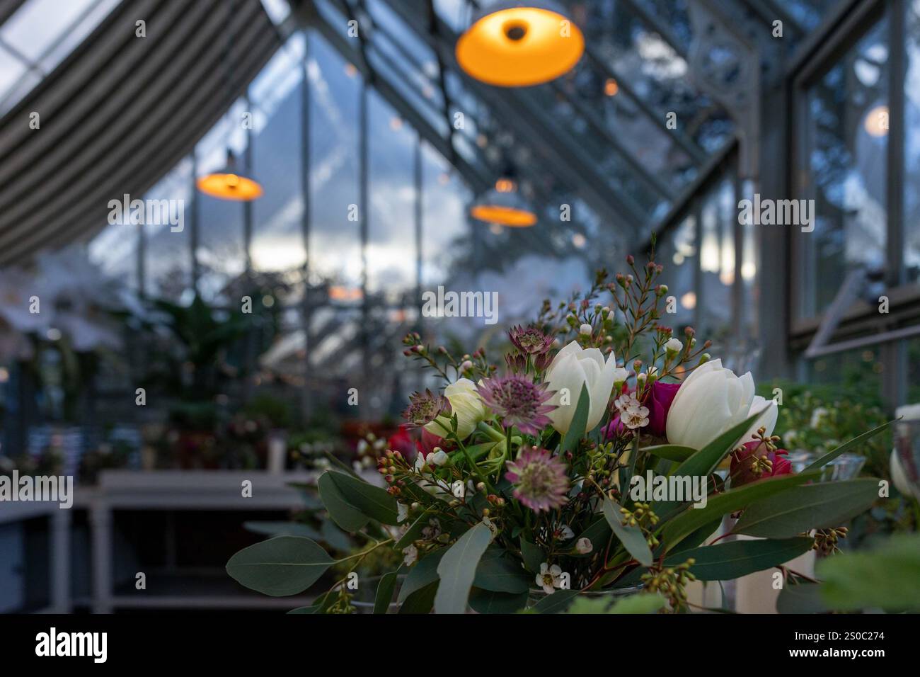 La serra di le Manoir aux Quat'Saisons con fiori in preparazione per una cerimonia nuziale Foto Stock