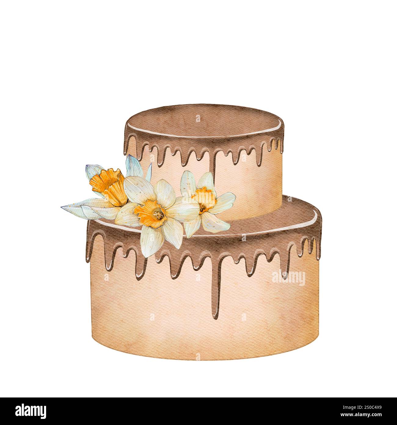 Torta a due piani con glassa al cioccolato in acquerello. Illustrazione di alta qualità su sfondo bianco. Decorato con fiori e narcisi. Ideale per anniversari, compleanni, feste, matrimoni. Foto Stock