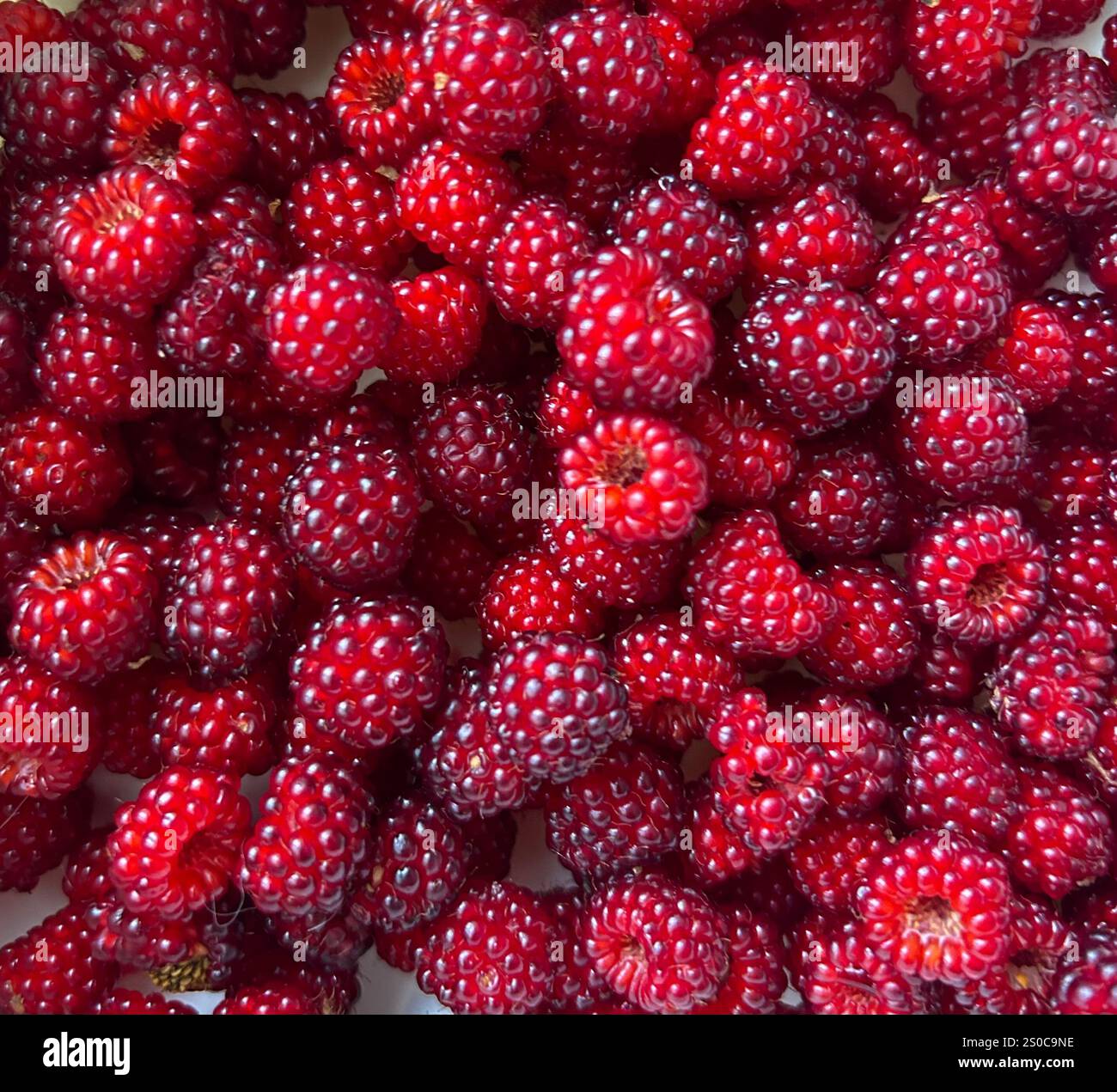 Wineberry giapponesi in una ciotola Foto Stock