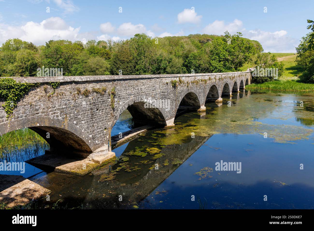 Ponte sul Bosherston Lily Ponds, Pembrokeshire, Galles, Regno Unito Foto Stock
