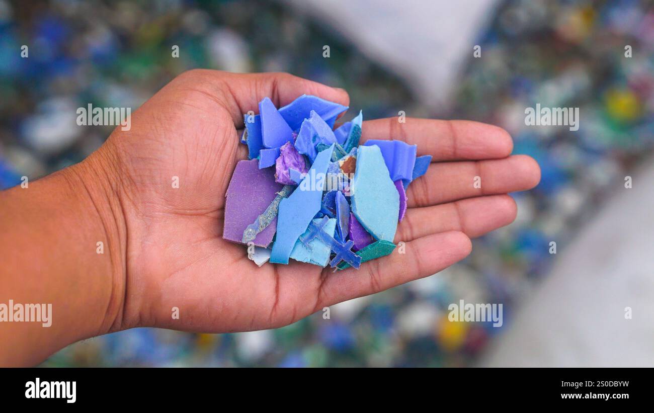 Mano maschile che tiene in mano i fiocchi di plastica colorati per grattugiare, processo di riciclaggio in plastica, pezzi di plastica schiacciati o piccoli pezzi, riciclaggio dei fiocchi di plastica Foto Stock