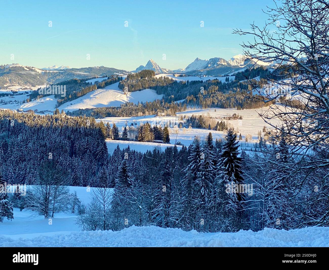 Tranquillo paesaggio invernale con colline innevate e foreste lontane - Immagine stock catturata con smartphone