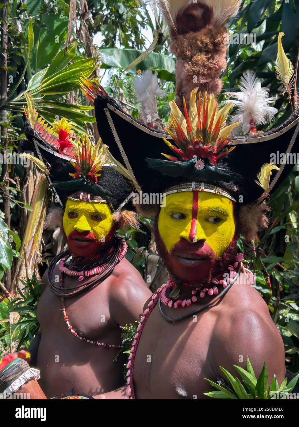 Huli Wigmen della Papua nuova Guinea, regione delle Highlands Foto Stock