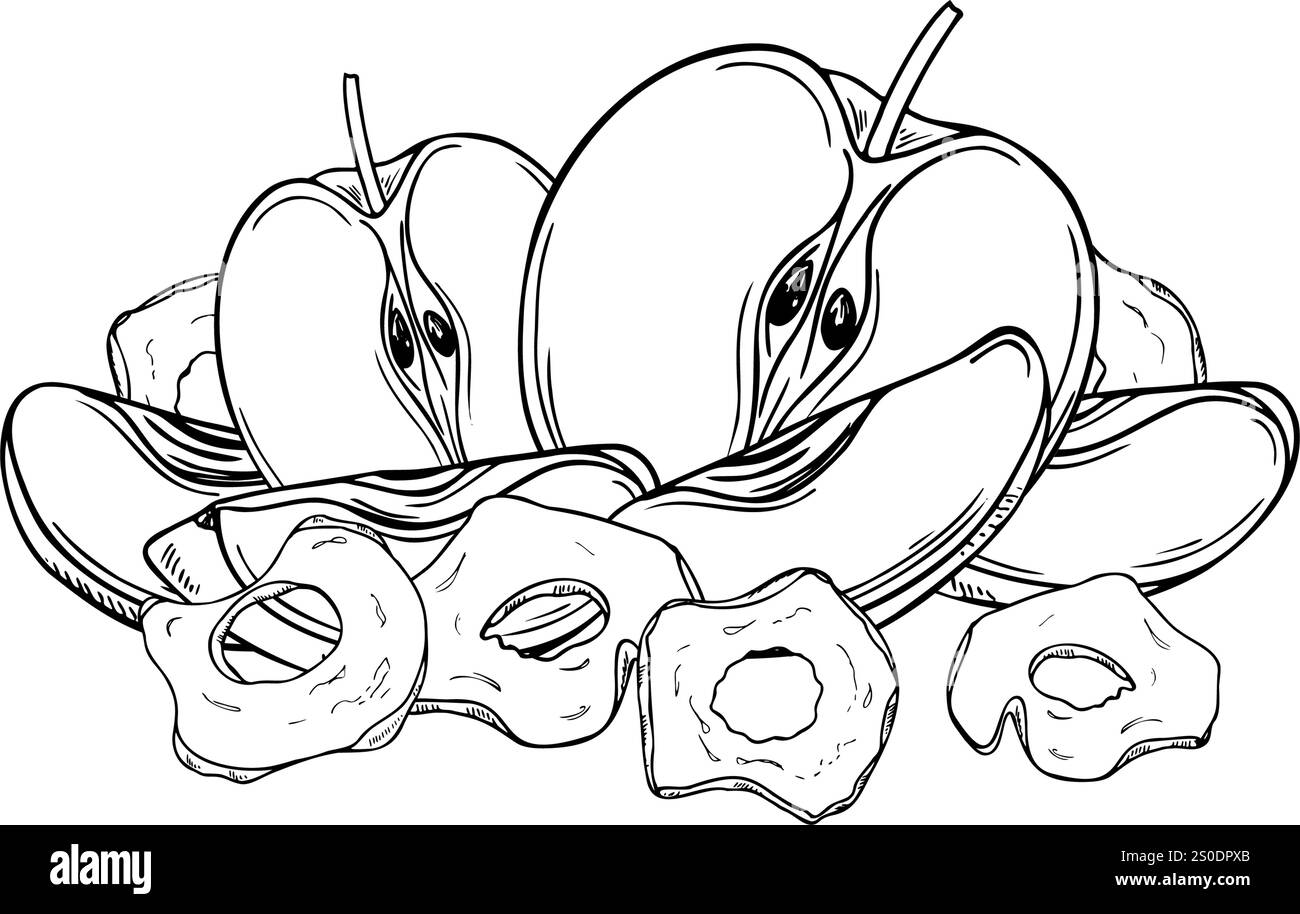 Illustrazione grafica grafica vettoriale con incisione di mele bianche e nere e fette secche di frutta disegnata a mano. Alimenti biologici naturali da taglio monocromatici Illustrazione Vettoriale