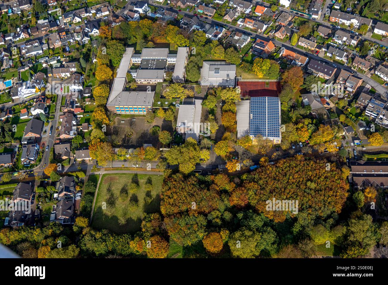 Vista aerea, Erich-Fried-Gesamtschule, palazzetto dello sport con tetto solare e campo sportivo, alberi autunnali, Holsterhausen, Herne, zona della Ruhr, Renania settentrionale-ovest Foto Stock