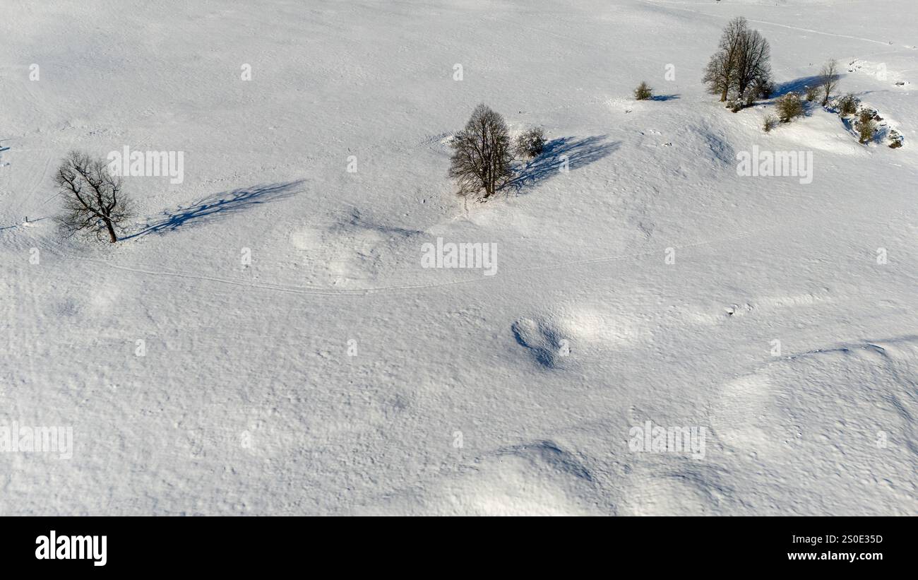 Paesaggio innevato con alberi sparsi e Rolling Hills Foto Stock