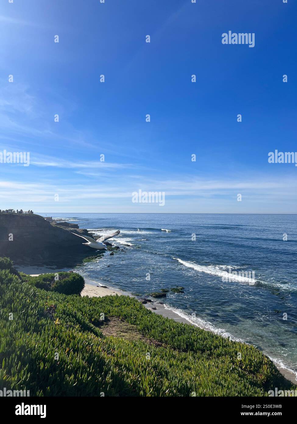 Costa di la Jolla a San Diego, California meridionale - Immagine stock catturata con smartphone
