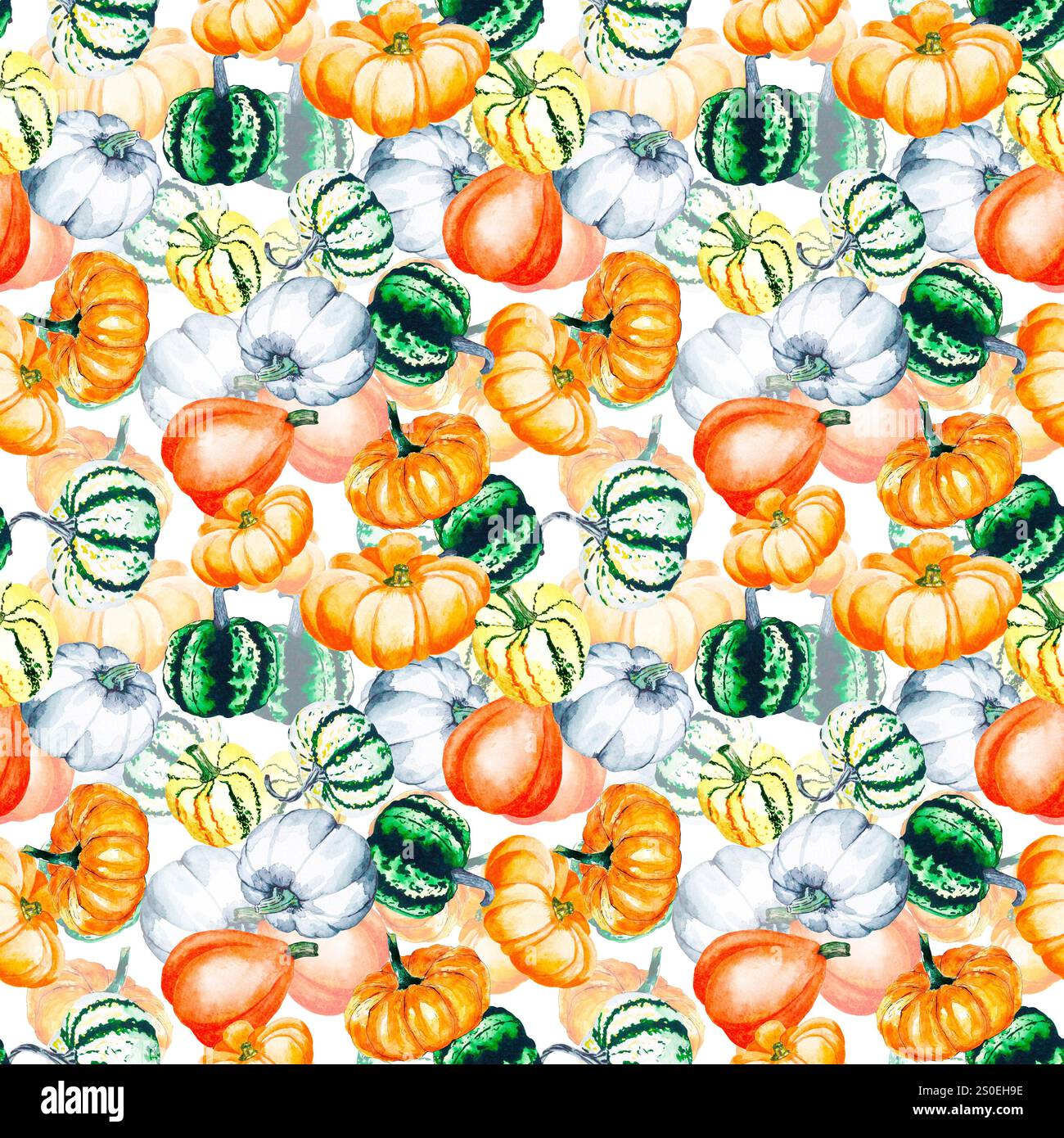 Zucche. Disegno acquerello di zucche brillanti. Motivo senza cuciture con verdure su sfondo bianco. Foto Stock