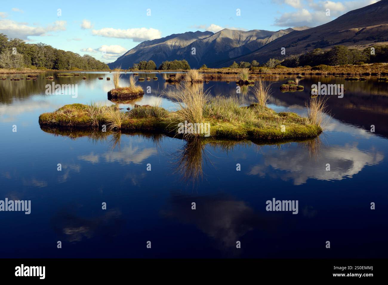 "Isole" erbose con drosera in un lago di montagna, o tarn, su Bealey Spur, Arthurs Pass, South Island, nuova Zelanda. Foto Stock