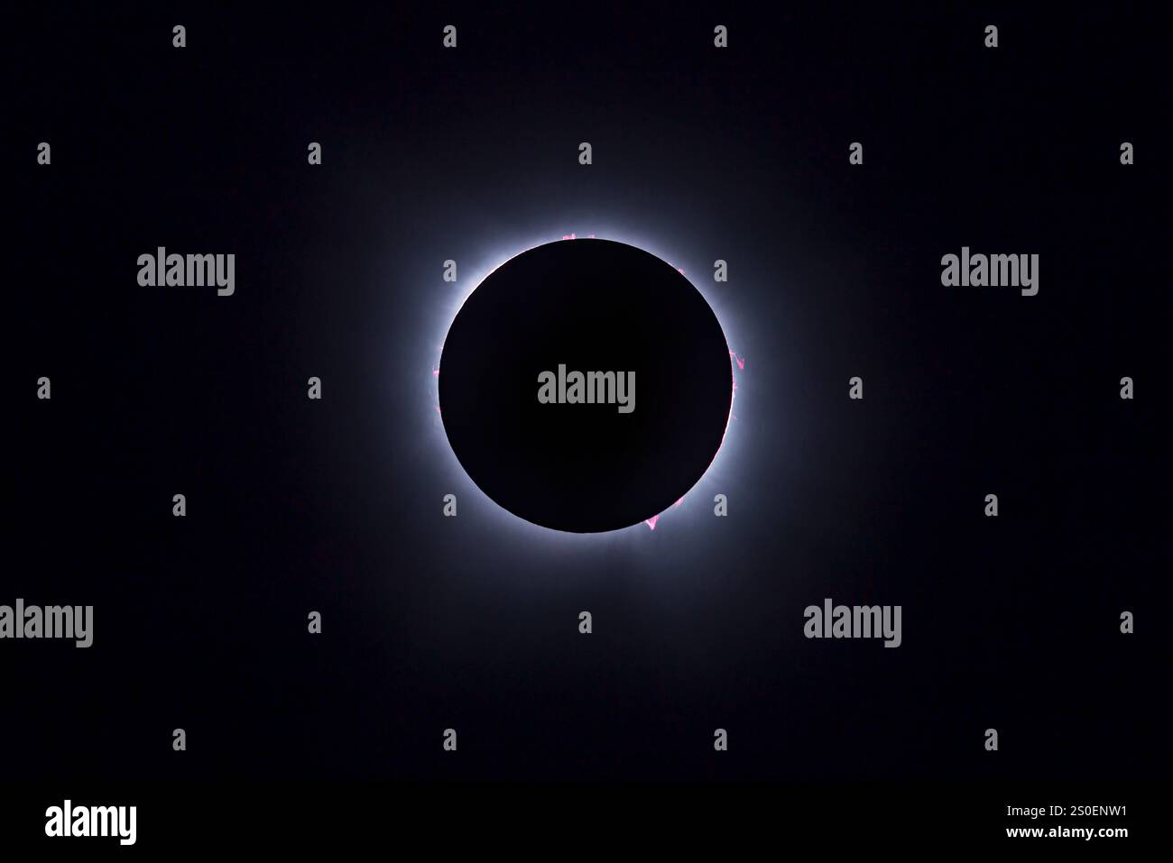 L'eclissi totale del Sole che mostra le prominenze rosa ardenti. Foto Stock
