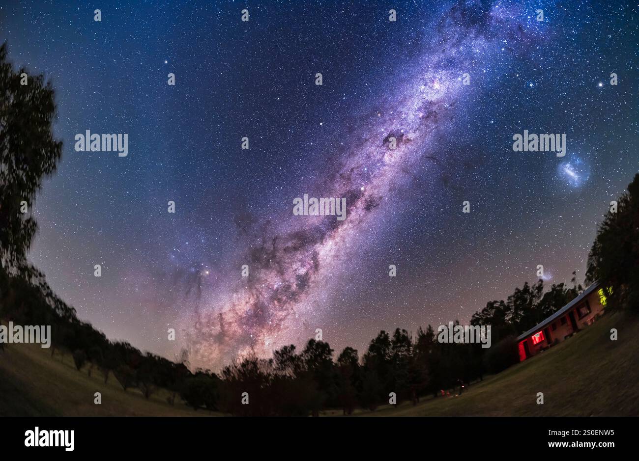 La via Lattea e le piste di polvere scura sopra gli alberi, nuovo Galles del Sud, Australia. Foto Stock