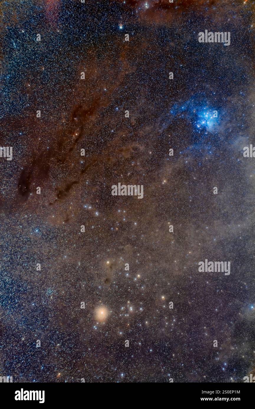 Hyades, Pleiadi e le nuvole oscure del Toro. Foto Stock