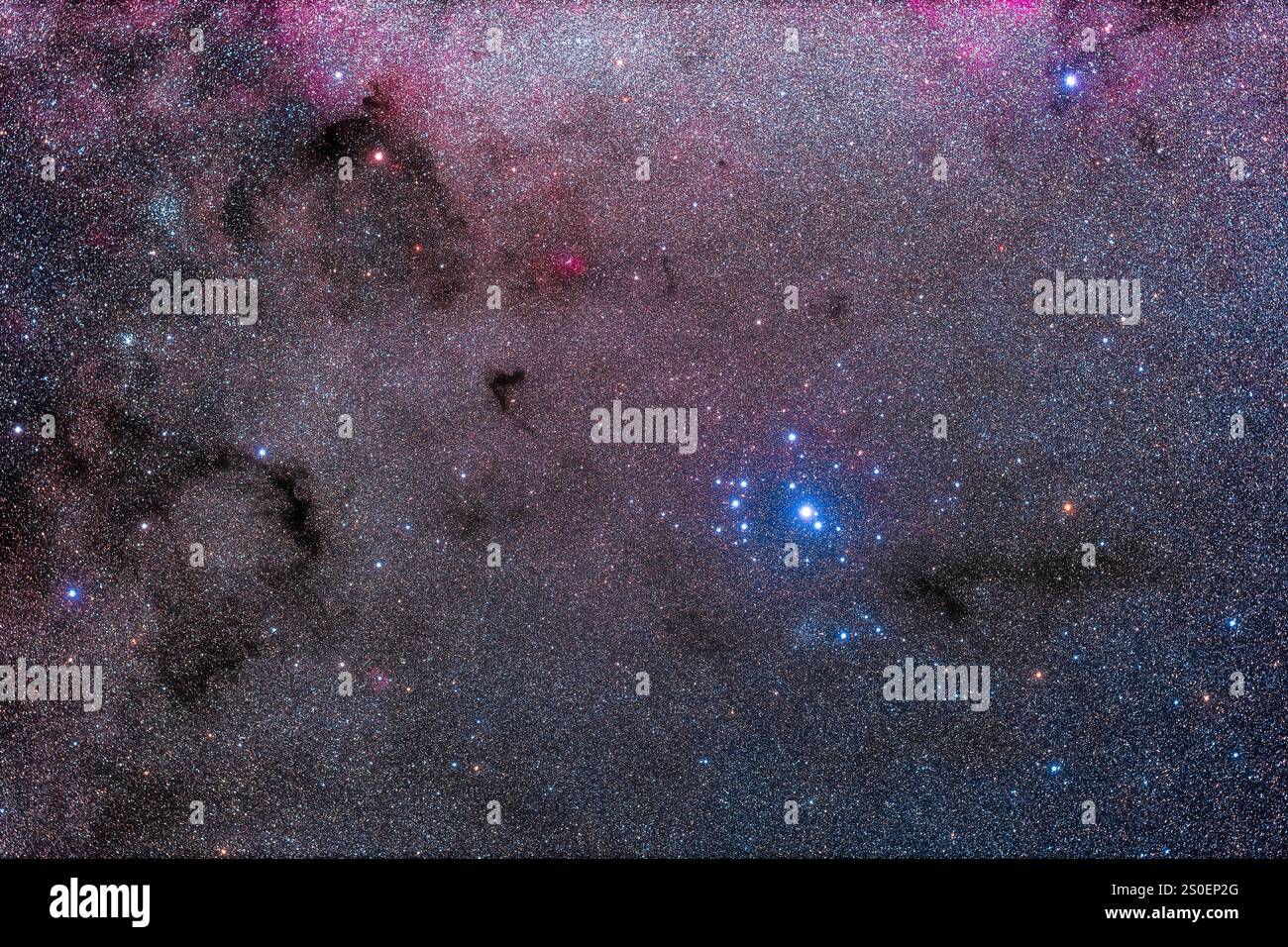 IC 2602, l'ammasso delle Pleiadi meridionali, che circonda la stella Theta Carinae. Foto Stock