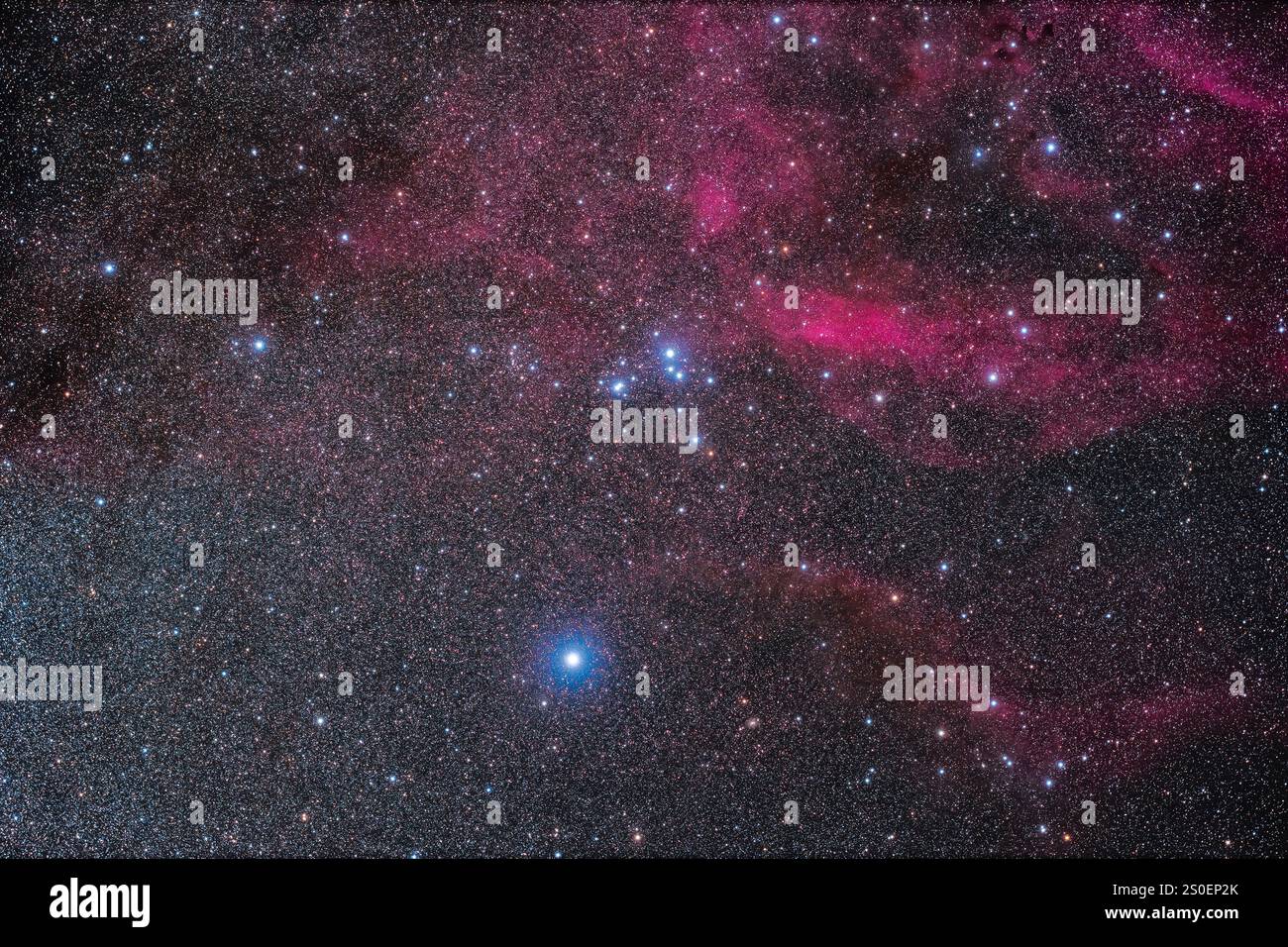 L'ammasso Omicron Velorum a Vela. Foto Stock