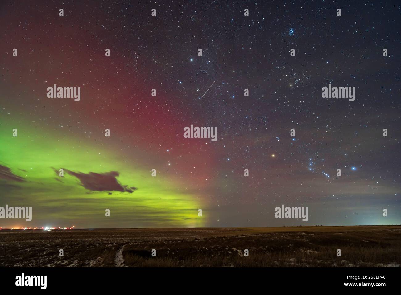 Una meteora solitaria della meteora Geminide del 2023 in mezzo a un'aurora rossa. Foto Stock