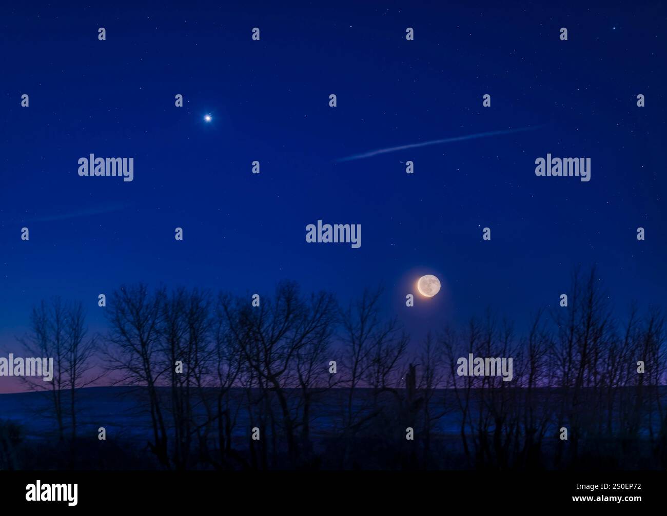 La luna crescente e Venere che si innalzano al crepuscolo dell'alba, Alberta, Canada. Foto Stock