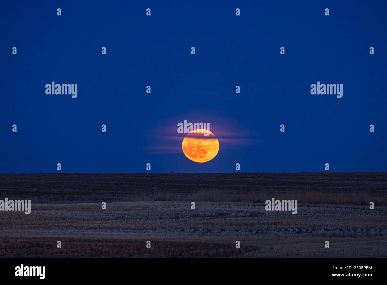 La luna piena di aprile, su un campo nudo nel sud dell'Alberta, Canada Foto Stock