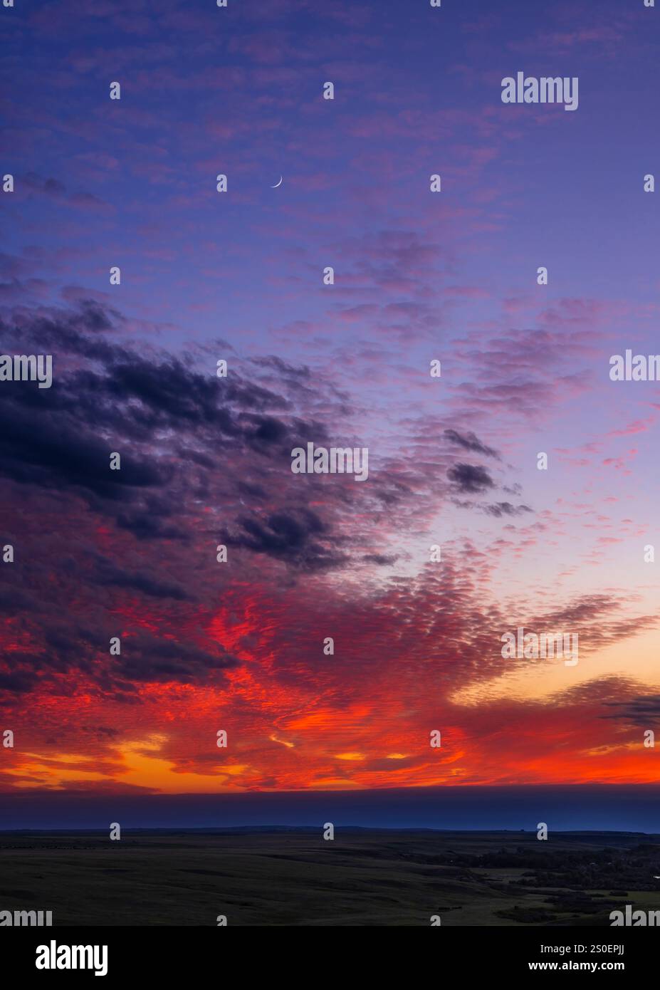 Un cielo al tramonto con la luna crescente in cera tra nuvole colorate sopra una prateria. Foto Stock