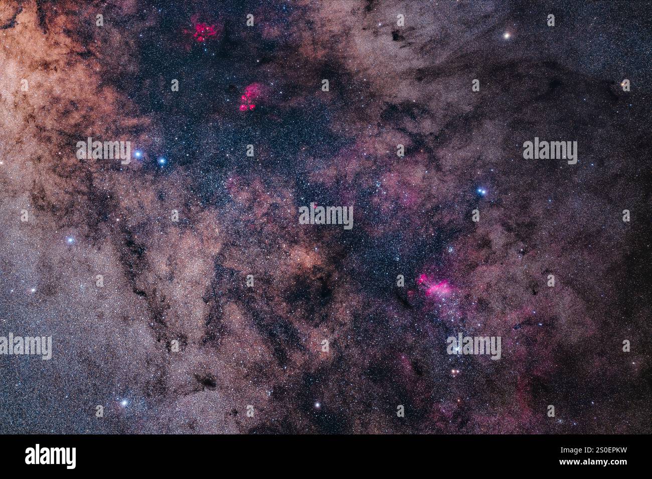 La ricca regione della via Lattea nella coda dello Scorpio, luminosa con nebulose e nuvole di polvere scure. Foto Stock