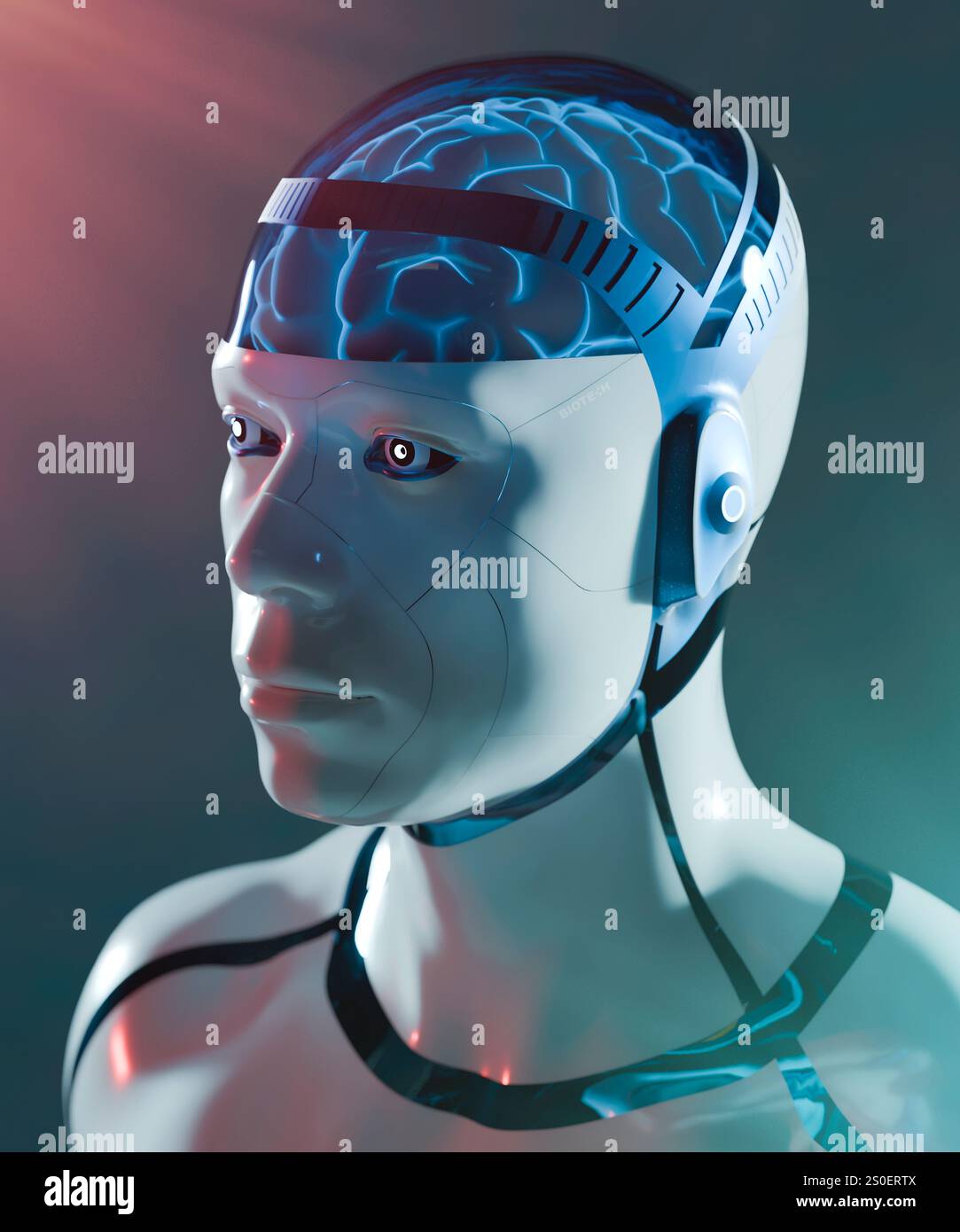 Opera d'arte di un cyborg. Acronimo di "organismo cibernetico", un cyborg è un incrocio tra tessuto vivo e parti fabbricate. In questo caso il corpo è artificiale, ma il cervello proviene da un essere umano. Potremmo essere in grado di trapiantare i nostri cervelli in questo modo in futuro, assicurandoli all'interno di corpi robusti che non si usurano e non sono soggetti all'invecchiamento? Foto Stock
