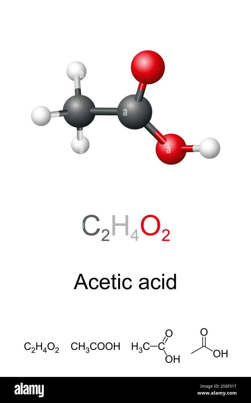 Acido acetico, acido etanoico, modello molecolare e struttura chimica. Liquido acido, incolore e composto organico con formula chimica CH3COOH. Foto Stock